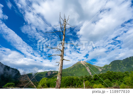 上高地の風景 118977810