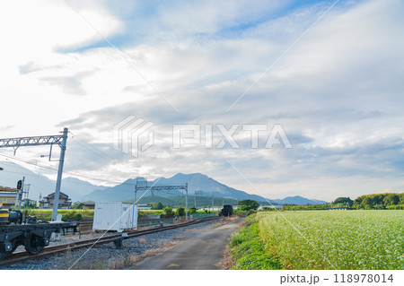 三岐鉄道三岐線丹生川駅、満開のそばの花〈三重県いなべ市〉 118978014