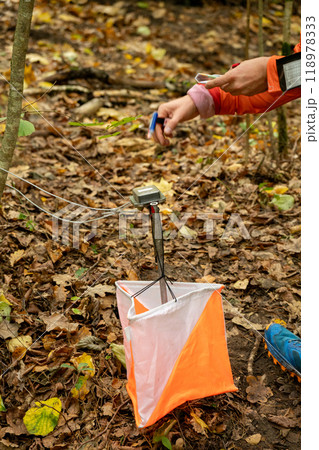 A woman punching at the orienteering control point A woman punching at the orienteering control point 118978333