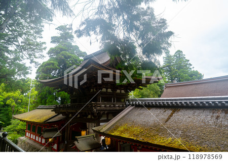 奈良県 石上神宮の風景 奈良県 石上神宮の風景 118978569
