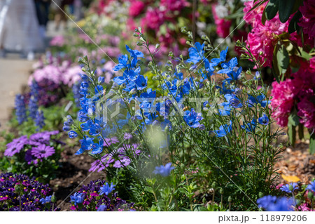 アジア人 アジアン アジア風 118979206