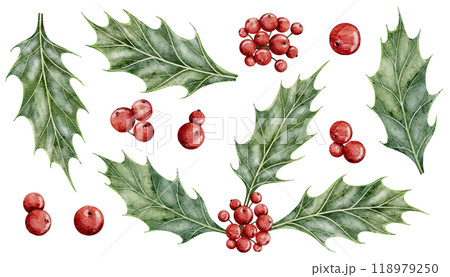 Holly berries with green leaves watercolor illustrations set. Drawing of traditional holiday Christmas plants with red fruits on isolated background. Botanical clipart for New Year or Xmas design. 118979250