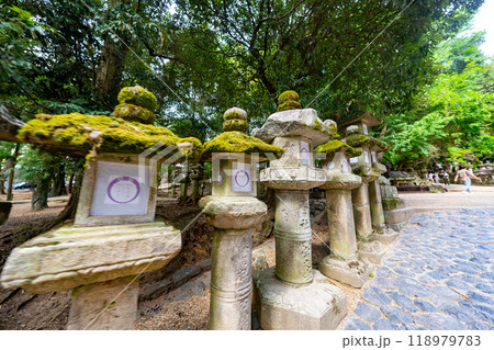 奈良県 春日大社の風景 奈良県 春日大社の風景 118979783