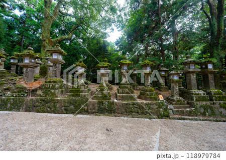 奈良県 春日大社の風景 奈良県 春日大社の風景 118979784