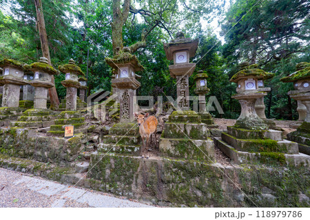 奈良県 春日大社の風景 奈良県 春日大社の風景 118979786