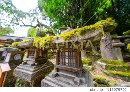奈良県 春日大社の風景 奈良県 春日大社の風景 118979792