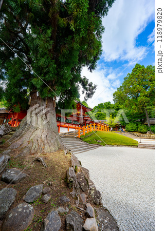 奈良県 春日大社の風景 奈良県 春日大社の風景 118979820