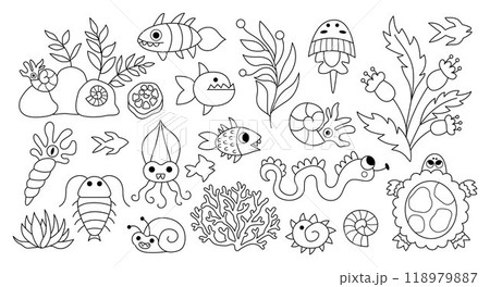 Vector black and white ancient fish and marine creatures set. Prehistoric water animal line icons collection. Dinosaur period illustrations with turtle, ammonite. Giant bugs, beetles coloring page 118979887