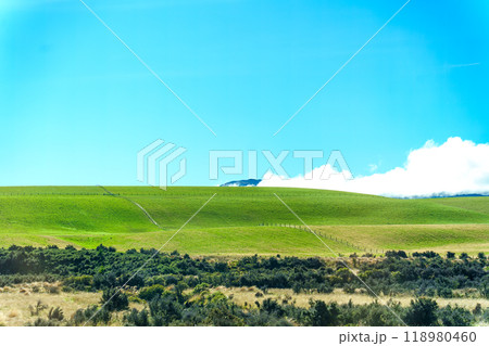 Beautiful green mountain hill with grassland and blue sky on sunny day 118980460
