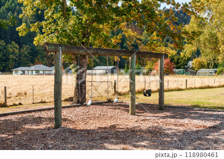 Wooden swing under a tree in park on autumn 118980461