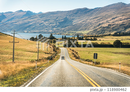 Road trip car driving on the road in autumn forest at New Zealand 118980462