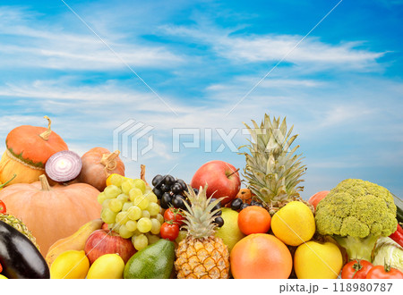 Panoramic photo fruits and vegetables on background clouds and blue sky. 118980787