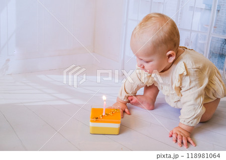 Baby girl celebrating her birthday with birthday cake Baby girl celebrating her birthday with birthday cake 118981064