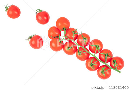 Branch of fresh cherry tomatoes isolated on white Branch of fresh cherry tomatoes isolated on white 118981400