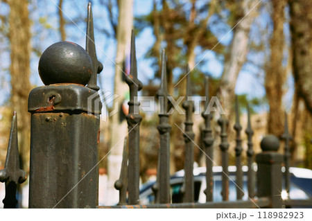 Hedge.Black metal fence with spear shaped points bars on a real street Hedge.Black metal fence with spear shaped points bars on a real street 118982923