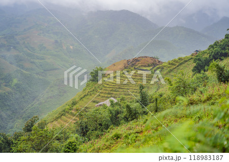 Rice terraces in the fog in Sapa, Vietnam. Rice fields prepare the harvest at Northwest Vietnam. Vietnam opens to tourism after quarantine Coronovirus COVID 19 118983187