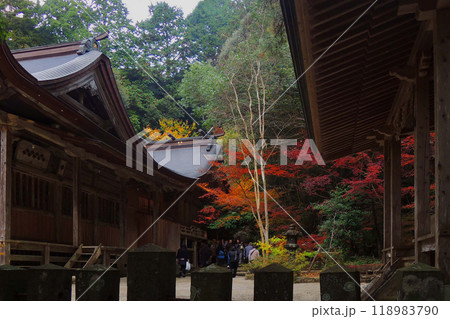 九年庵の紅葉 118983790