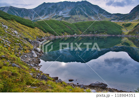 富山県 立山室堂平の紅葉 富山県 立山室堂平の紅葉 118984351