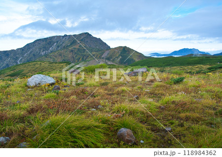 富山県　立山室堂平の紅葉 118984362