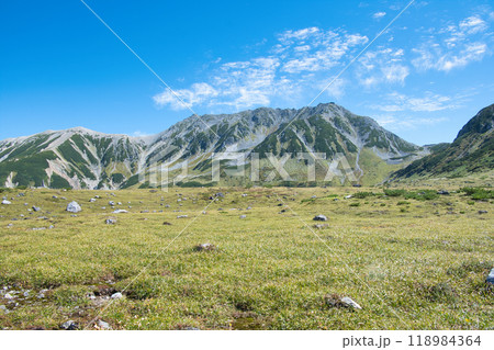 富山県 立山室堂平の紅葉 富山県 立山室堂平の紅葉 118984364