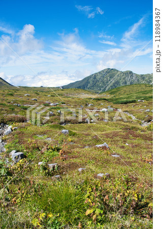 富山県　立山室堂平の紅葉 118984367