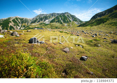 富山県 立山室堂平の紅葉 富山県 立山室堂平の紅葉 118984371