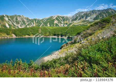 富山県　立山室堂平の紅葉 118984376