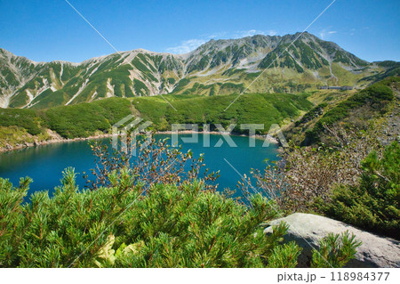 富山県　立山室堂平の紅葉 118984377