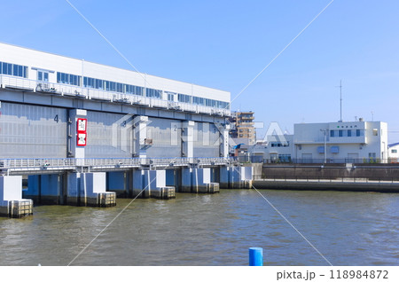 東京都江戸川区今井水門周辺2024年10月 118984872