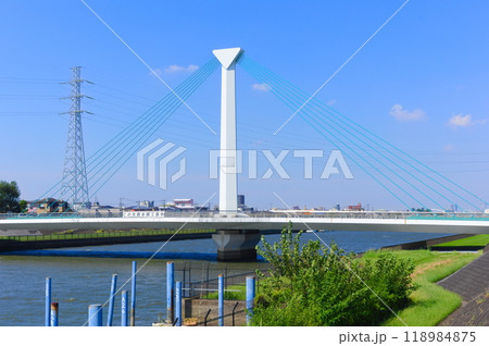 東京都江戸川区大杉橋2024年10月 東京都江戸川区大杉橋2024年10月 118984875