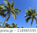 ハワイの青空とヤシの木 118985595
