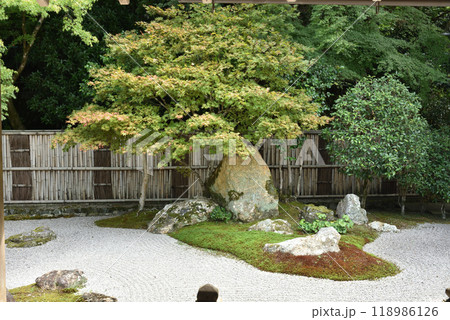 南禅寺庭園　華厳庭　夏 118986126