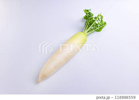 大根 118986559