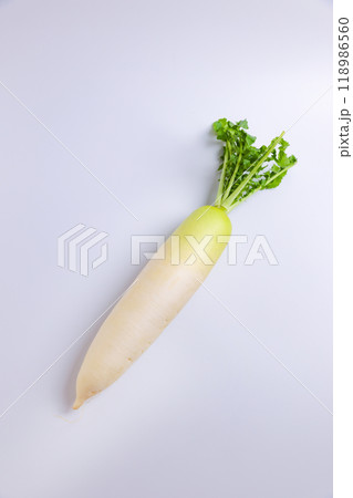 大根 大根 118986560