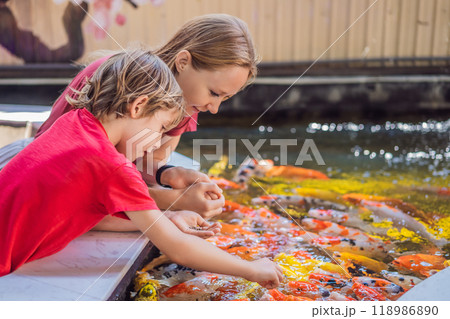 Mom and son feed koi fish. Beautiful koi fish swimming in the pond Mom and son feed koi fish. Beautiful koi fish swimming in the pond 118986890