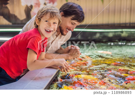 Dad and son feed koi fish. Beautiful koi fish swimming in the pond Dad and son feed koi fish. Beautiful koi fish swimming in the pond 118986893