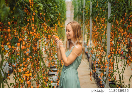 Young woman and Yellow cherry tomatoes grow in the garden. Close up 118986926