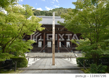 永観堂禅林寺　阿弥陀堂(本堂)　夏 118987296