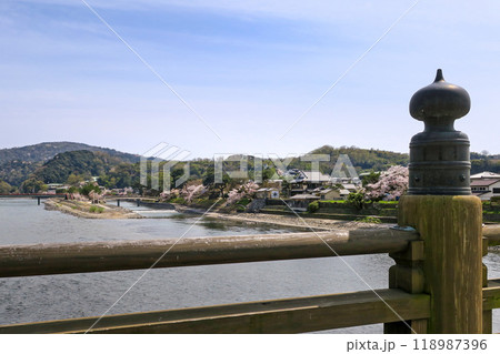 京都・宇治 宇治橋から望む中の島 118987396