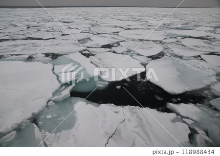 紋別 流氷 紋別 流氷 118988434