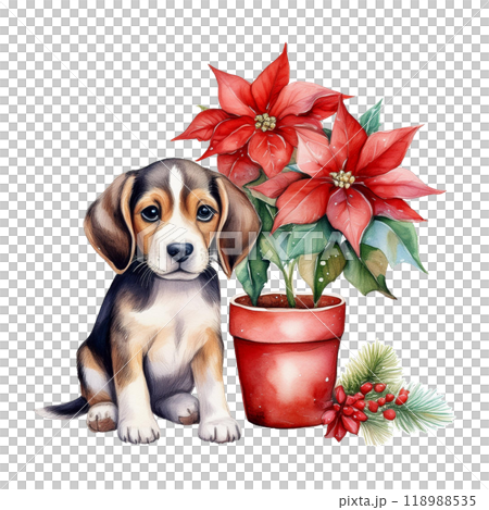 比格犬和一品紅盆栽 8 / 傳單和海報材料 118988535