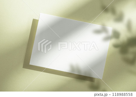 Mock-up of card with light and plant shadow Mock-up of card with light and plant shadow 118988558