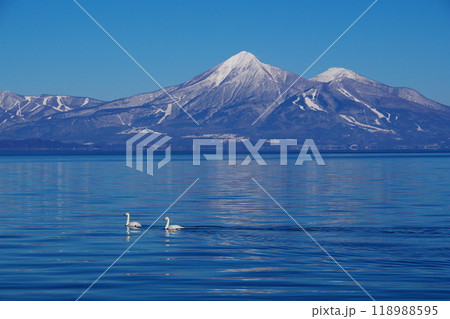 快晴の青空と磐梯山を背景に猪苗代湖の湖面を優雅に泳ぐ二羽の白鳥　　Ver3 118988595