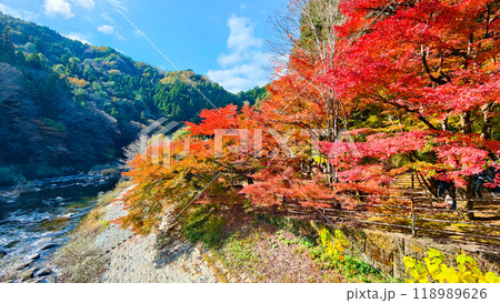 香嵐渓（秋） 118989626