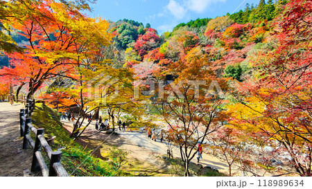 香嵐渓（秋） 118989634