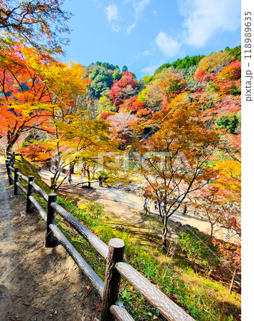 香嵐渓（秋） 118989635