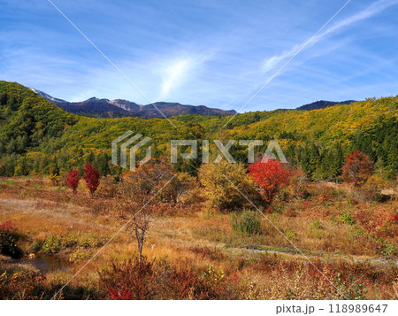 秋晴れの乗鞍高原、一の瀬草原の紅葉 118989647