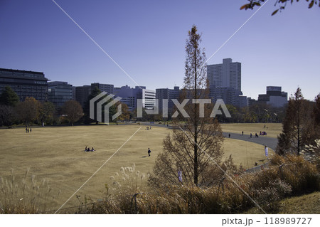 公園とビル 118989727