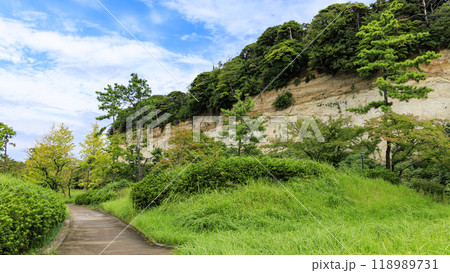 神奈川県横浜市中区本牧本牧市民公園の横浜上海友好記念館の秋・夏 神奈川県横浜市中区本牧本牧市民公園の横浜上海友好記念館の秋・夏 118989731