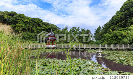 神奈川県横浜市中区本牧本牧市民公園の横浜上海友好記念館の秋・夏 神奈川県横浜市中区本牧本牧市民公園の横浜上海友好記念館の秋・夏 118989732